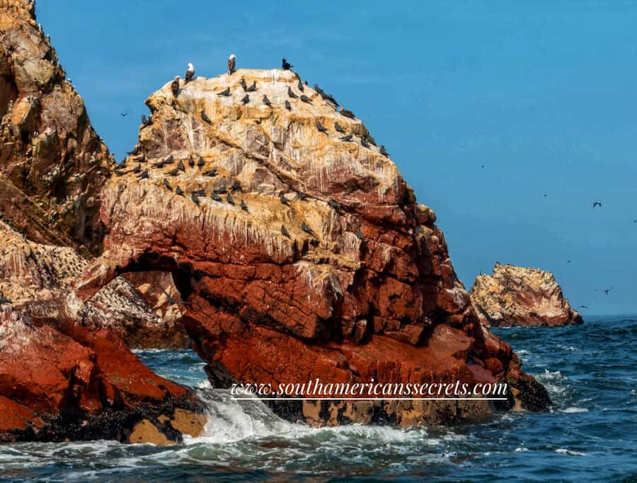 From Paracas: Ballestas Islands tour all Inclusive - Key things to know before you go