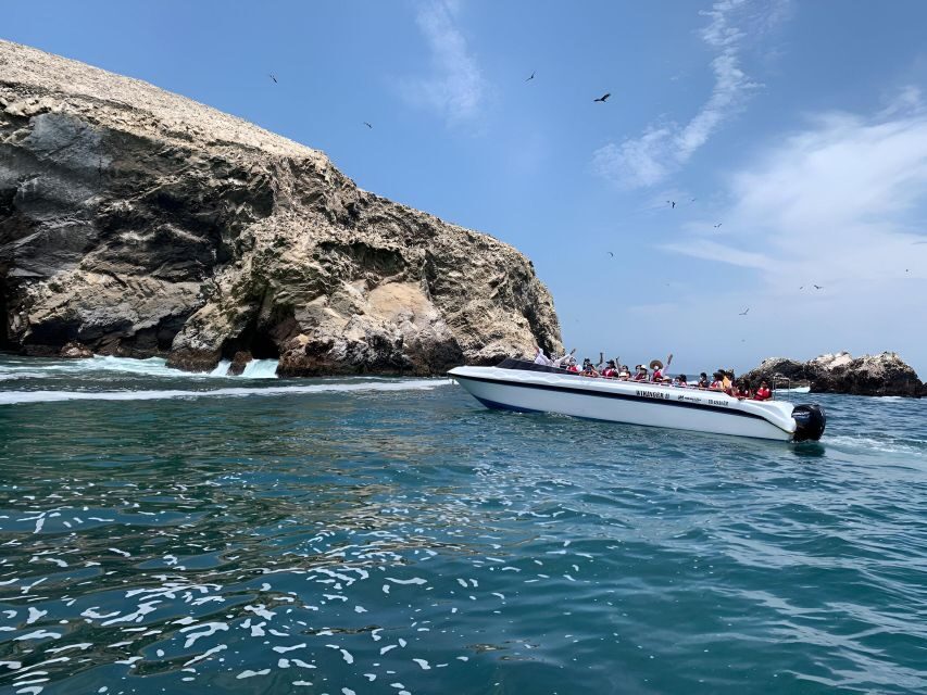 From Paracas: Ballestas Islands tour all Inclusive - Eco-friendly boat + backup safety: the operational details I trust