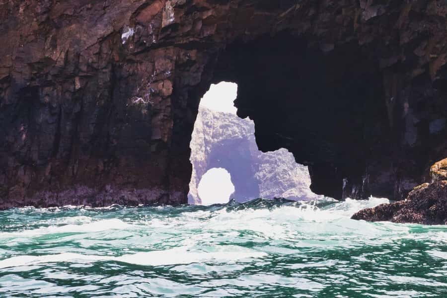 From Paracas: Guided boat tour of the Ballestas Islands - Guides and safety: what you’ll notice on board
