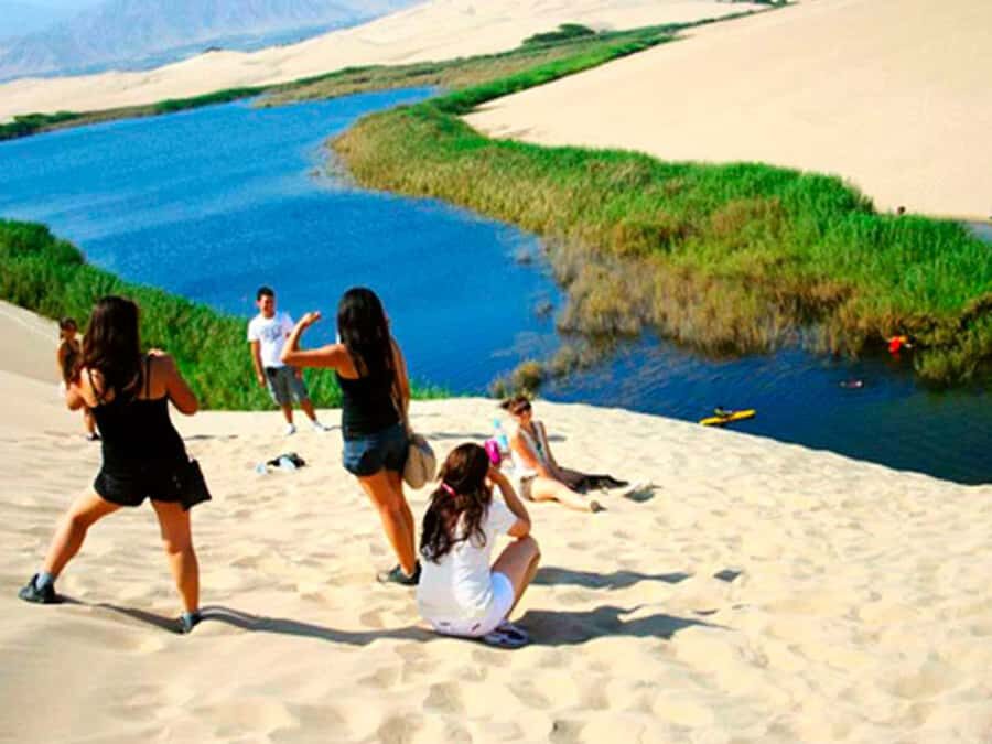 From Paracas: Mini Buggy Tour & Sandboarding at Oasis - Key highlights to look for