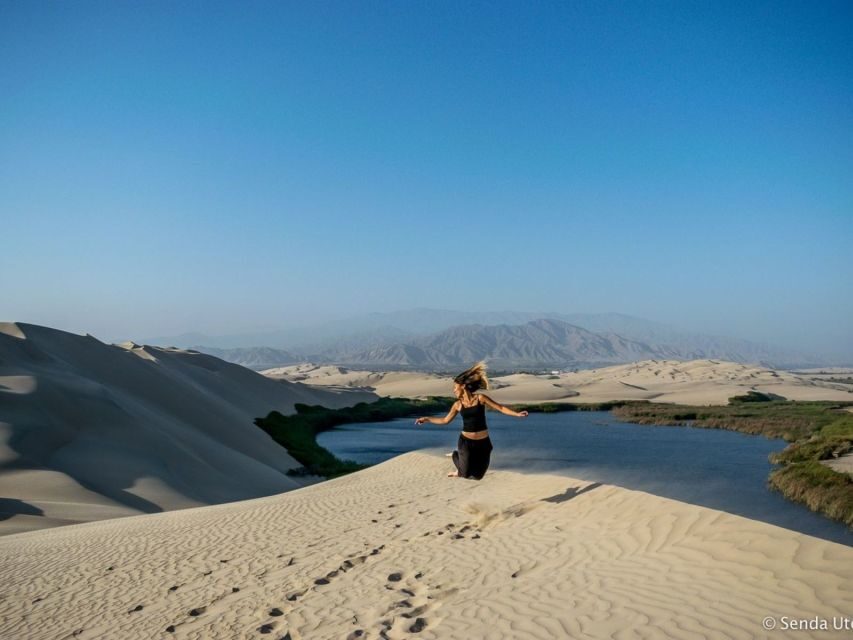 From Paracas: Mini Buggy Tour & Sandboarding at Oasis - Should You Book This Mini Buggy and Sandboarding at the Oasis?
