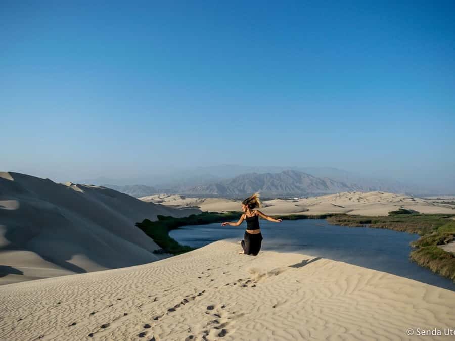 From Paracas: Mini Buggy Tour & Sandboarding at Oasis - How the 3 Hours Feel on Your Body and Your Schedule