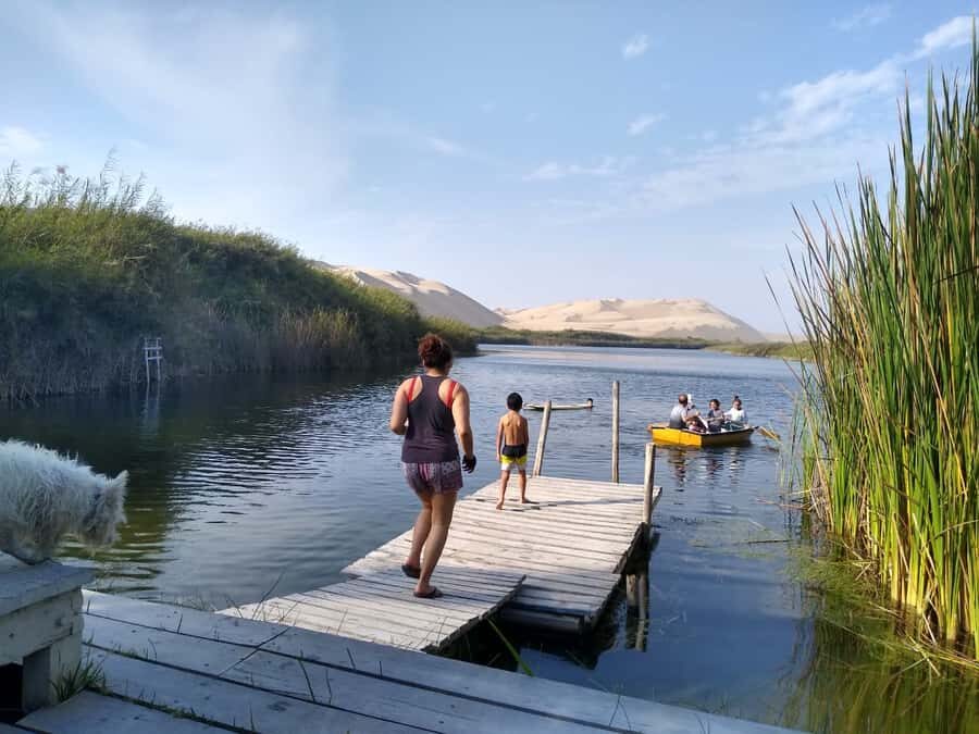 From Paracas: Mini Buggy Tour & Sandboarding at Oasis - Price and Value for $83 in Ica Region