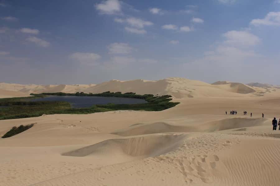 From Paracas: Mini Buggy Tour & Sandboarding at Oasis - Who Should Book (and Who Should Skip)