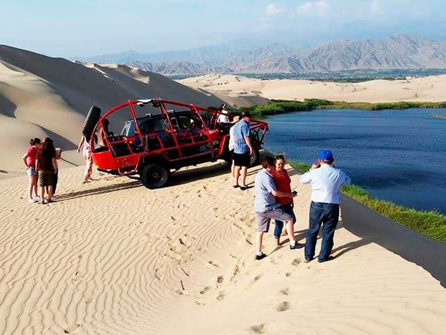 From Paracas: Mini Buggy Tour & Sandboarding at Oasis - Buggy Power Through Fine Sand, Then Sand Cart Practice