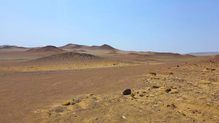 From Paracas: Paracas National Reserve Private Tour - Key highlights I’d plan around