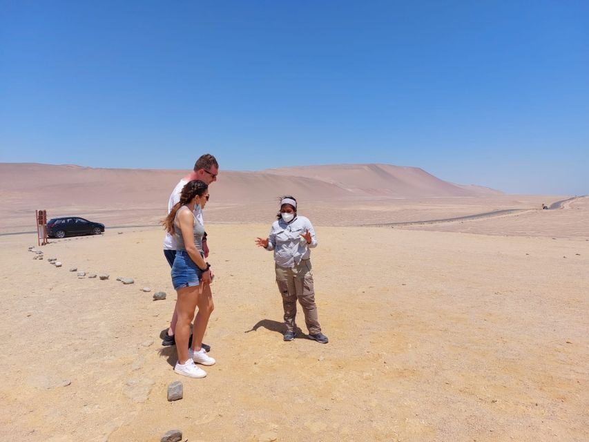 From Paracas: Paracas National Reserve Private Tour - A realistic checklist for your day