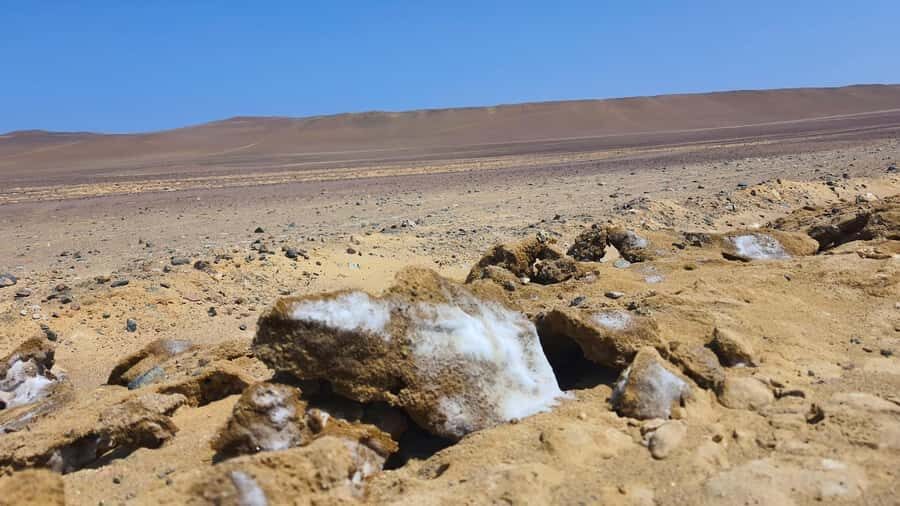 From Paracas: Paracas National Reserve Private Tour - Paracas National Reserve: where the desert meets the sea