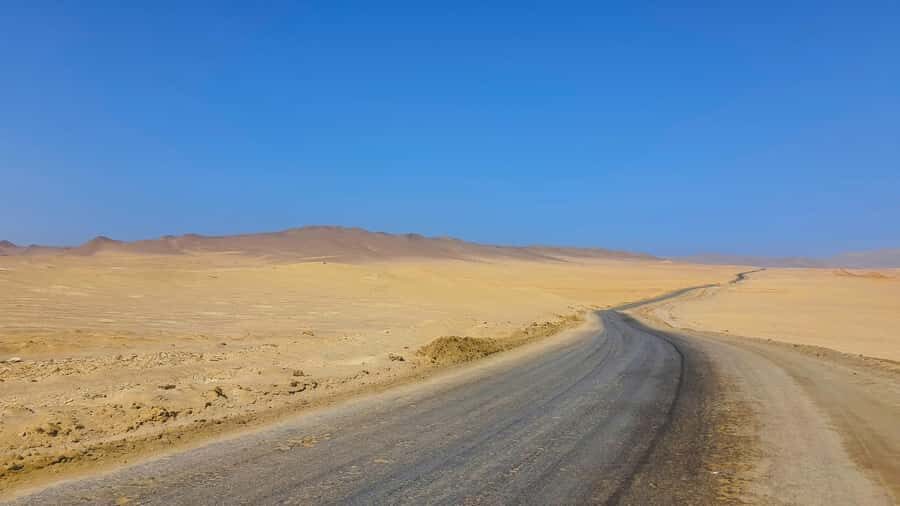 From Paracas: Paracas National Reserve Private Tour - Visitor center stop: learn the names before you look