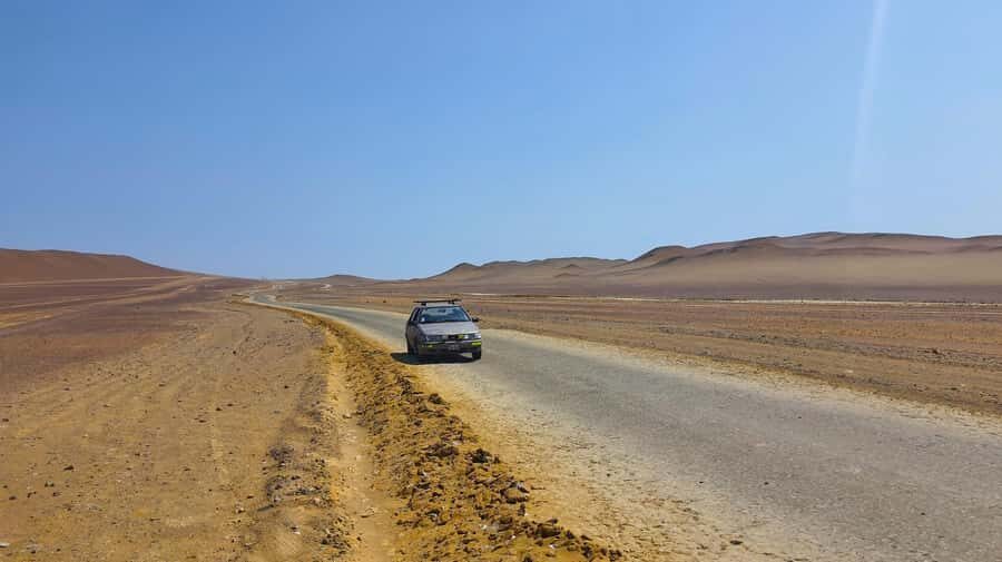From Paracas: Paracas National Reserve Private Tour - Ballestas boat ride: the sea-lion factor