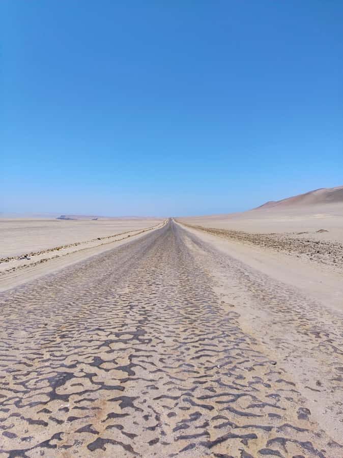 From Paracas: Paracas National Reserve Private Tour - Who this tour fits best (and who should skip it)