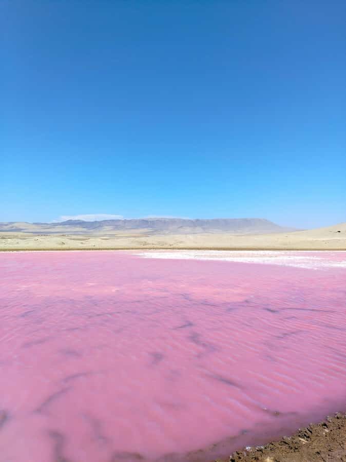 From Paracas: Paracas National Reserve Private Tour - Hotel pickup to the reserve: the 3-hour rhythm