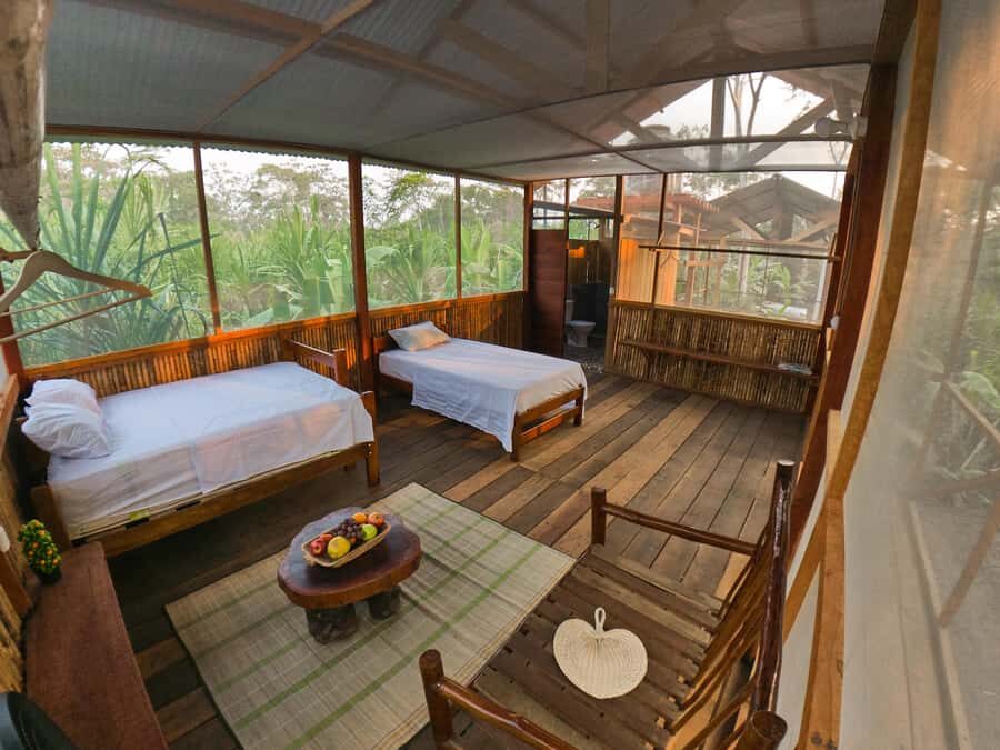 From Puerto Maldonado: 4-Day Excursion /wildlifesearch - Quick hits: what you get in 4 days