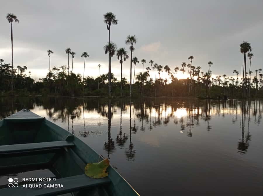 From Puerto Maldonado: 4-Day Excursion /wildlifesearch - First day: getting from Puerto Maldonado to a basic jungle house