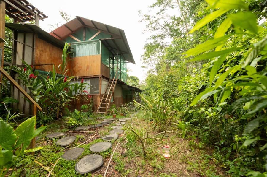 From Puerto Maldonado: 4-Day Excursion /wildlifesearch - Day 3 culture + wildlife: Machigenga family stop and Santa Teresa wetland