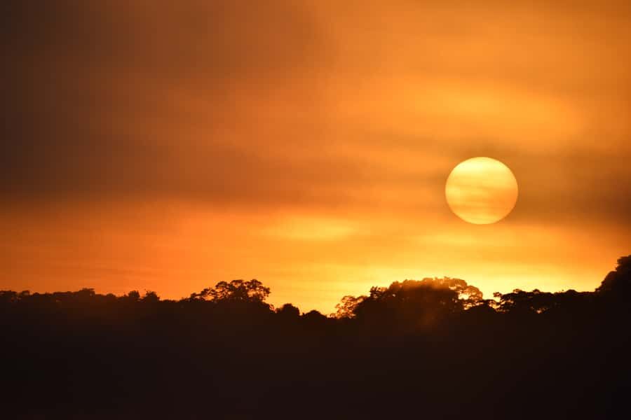 From Puerto Maldonado: 4-Day Excursion /wildlifesearch - 3:30 pm jungle tour: sunset views, then night creatures