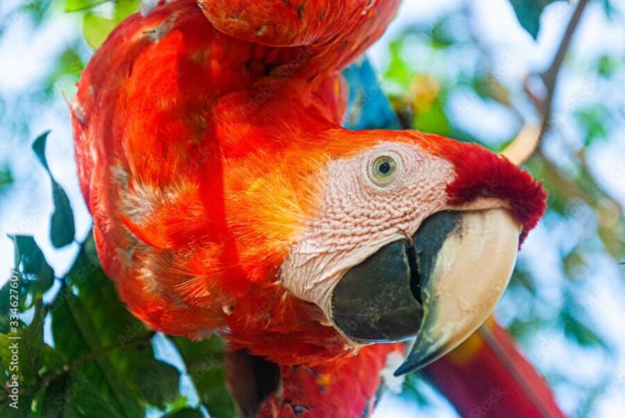 From Puerto Maldonado - Tambopata 4D/3N - Price and logistics: is $600 per person good value?