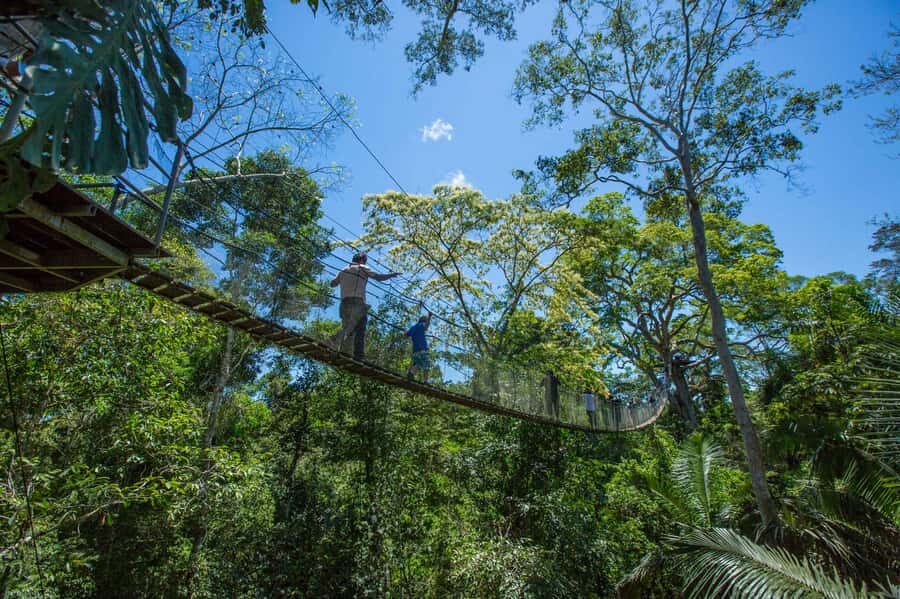 From Puerto Maldonado: Tambopata National Reserve 2-Day Tour - Key things that make this 2-day Tambopata tour worth your time