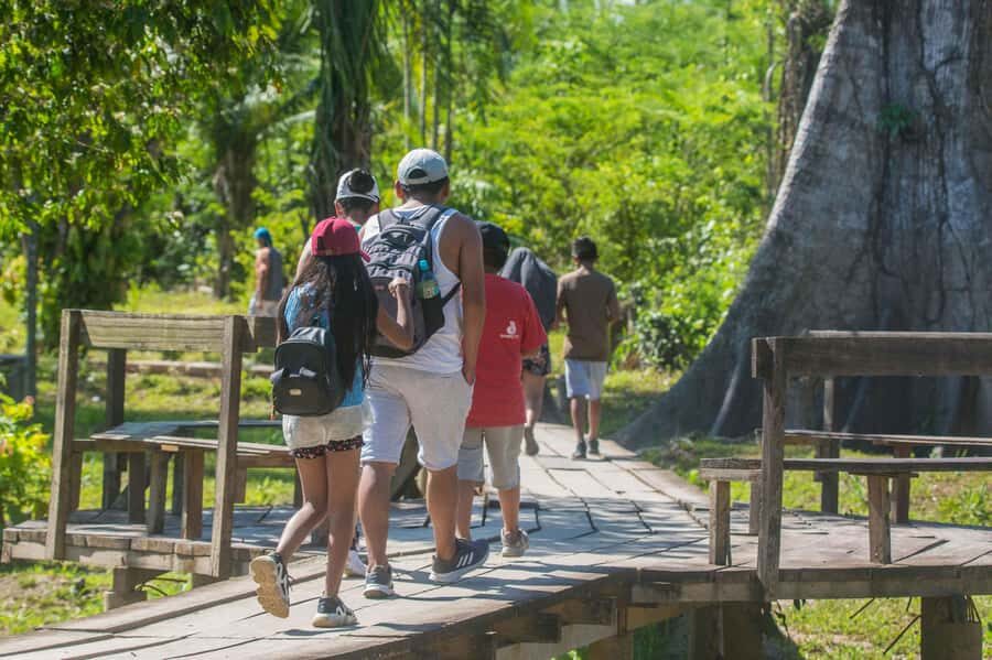 From Puerto Maldonado: Tambopata National Reserve 2-Day Tour - Two Days in Tambopata: Why This Short Trip Works