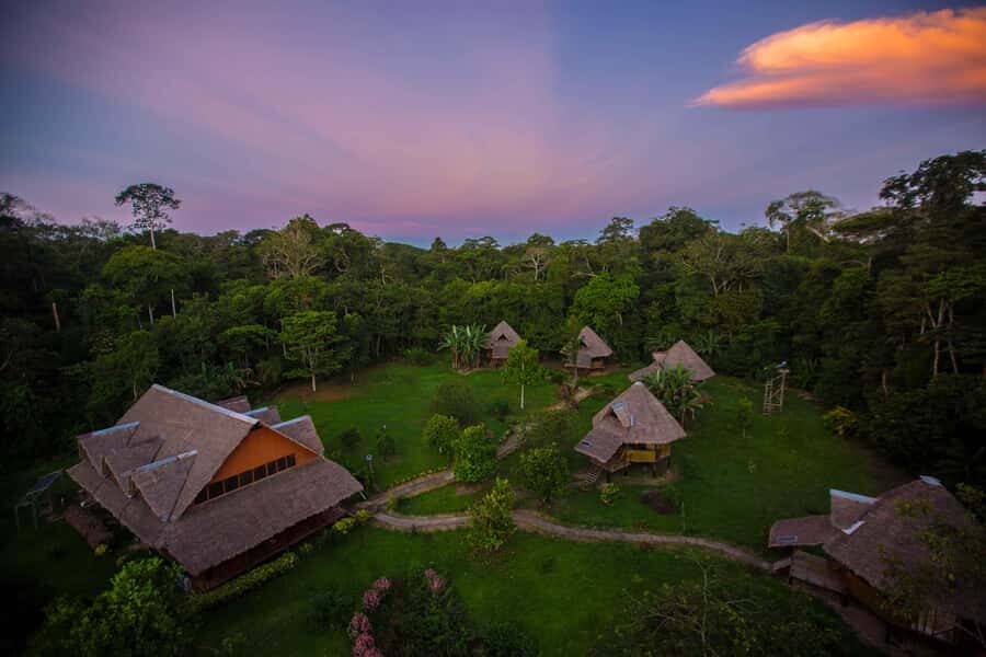 From Puerto Maldonado: Tambopata National Reserve 2-Day Tour - Sandoval Lake Morning: Giant Otters, Caimans, and Bird Time
