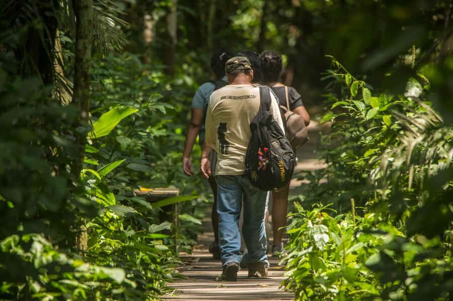 From Puerto Maldonado: Tambopata National Reserve 2-Day Tour - When to Skip It (or Prepare Extra): Health, Rules, and Reality
