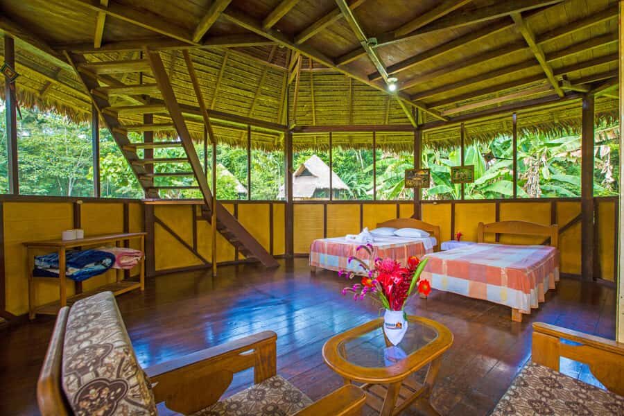 From Puerto Maldonado: Tambopata National Reserve 2-Day Tour - From Puerto Maldonado to the Lodge: The River Ride and First Impressions