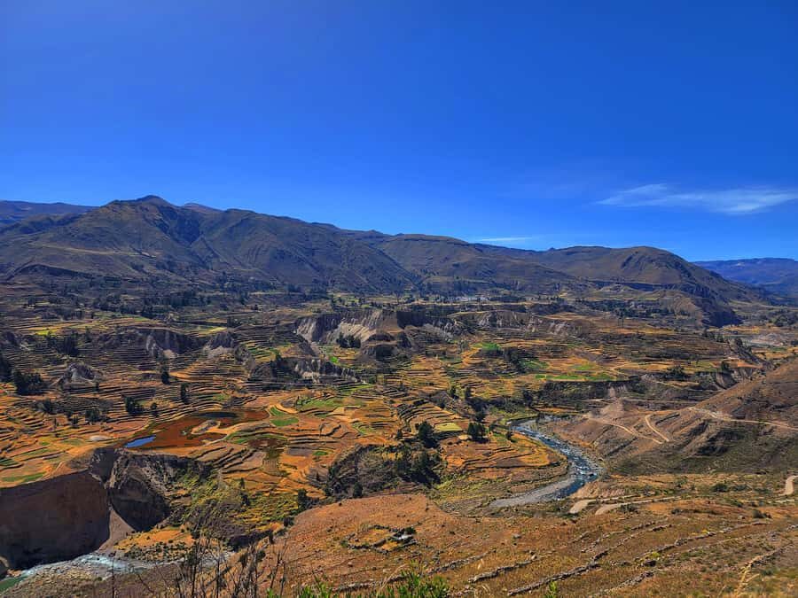 From Puno: 2-Day Tour to Colca Canyon ending in Arequipa - Day 2 into Colca Canyon: Maca’s church and Antahuilque terraces