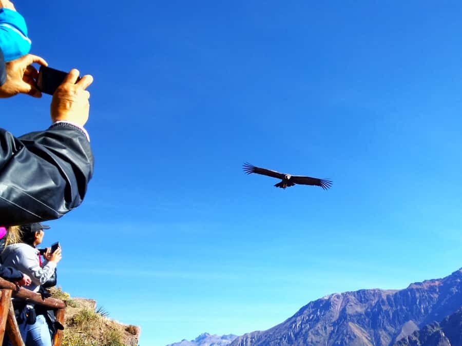 From Puno: 2-Day Tour to Colca Canyon ending in Arequipa - Chivay base: lunch optional, then hot springs to reset your body