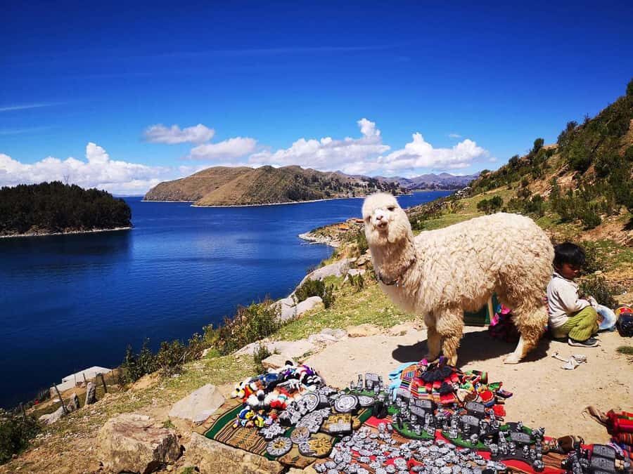 From Puno: Sun Island and Copacabana 1-Day Tour - Early Morning Puno Pickup and the Peru–Bolivia Border Check