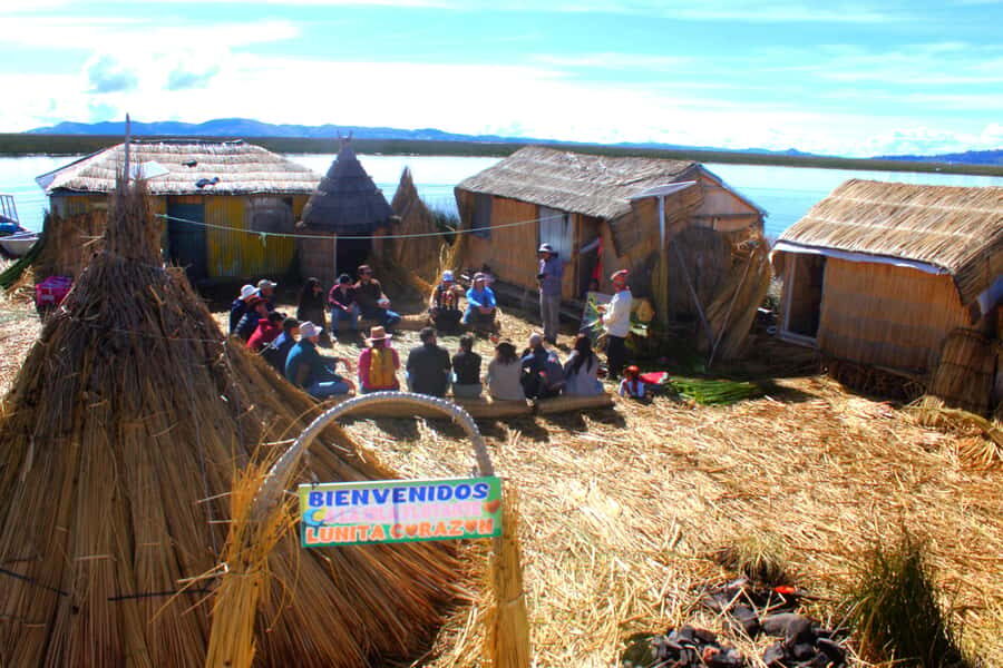 From Puno: Uros floating islands half Day tour - The totora floating islands: how they float and why they must be rebuilt