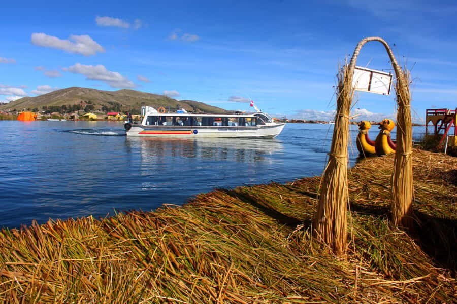 From Puno: Uros floating islands half Day tour - Common snags to plan for before you go