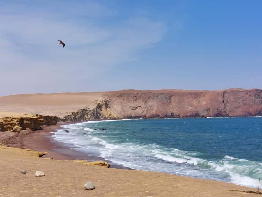 From San Martin Port: Ballestas Island & Paracas Reserve - Key Points to Know Before You Go