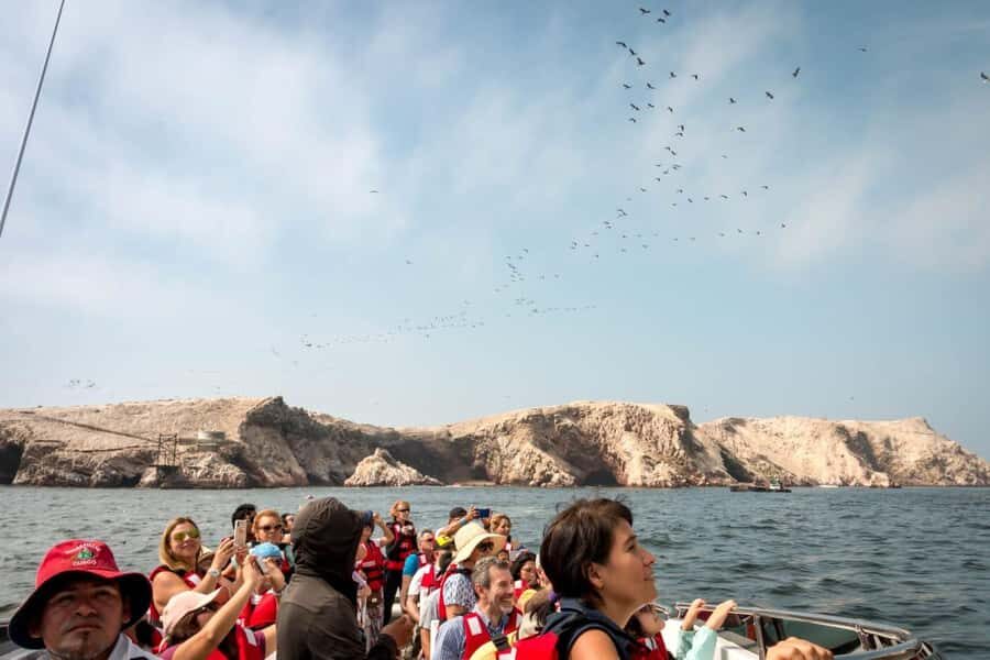 From San Martin Port: Ballestas Island & Paracas Reserve - Passing the Candelabro: a 180-Meter Geoglyph Trip Without the Detour Hassle