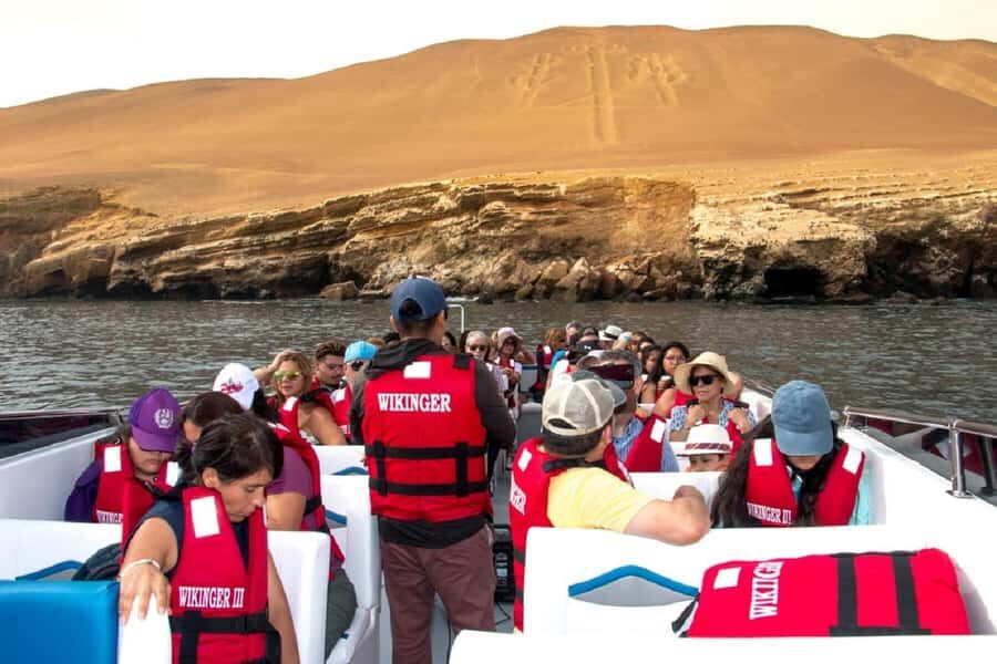 From San Martin Port: Ballestas Island & Paracas Reserve - Ballestas Wildlife: Birds and Sea Lions You’ll Want to Watch, Not Just Photograph