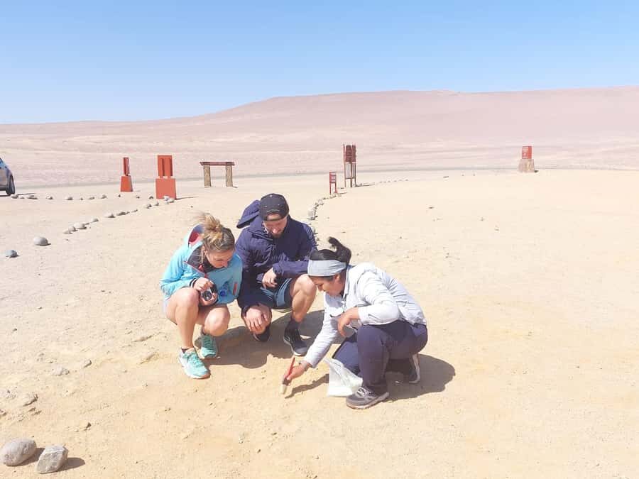 From San Martin Port: Ballestas Island & Paracas Reserve - Cathedral Viewpoint and the Earthquake Story You Can Still See