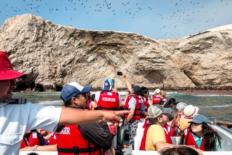 From San Martin Port: Ballestas Island & Paracas Reserve - Language and Guide Reality: Spanish-First Transfers Can Affect Your Experience