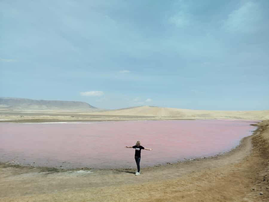 From San Martin Port: Ballestas Island & Paracas Reserve - From Puerto San Martín to El Chaco: How the Day Flows (and Where Delays Can Happen)