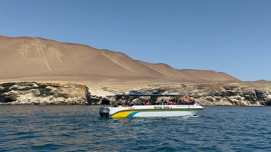 From San Martin Port: Ballestas Islands Tour in Paracas - Quick hits before you go