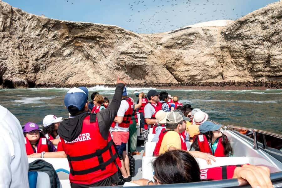 From San Martin Port: Ballestas Islands Tour in Paracas - Timing, included parts, and the language reality