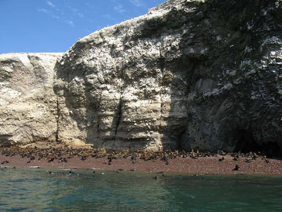 From San Martin Port: Ballestas Islands Tour in Paracas - Who should book this Ballestas Islands tour (and who should skip)