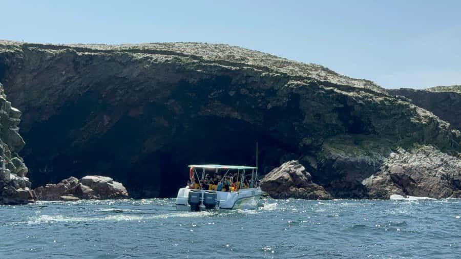 From San Martin Port: Ballestas Islands Tour in Paracas - The Candelabro on the water: Nazca’s eerie neighbor