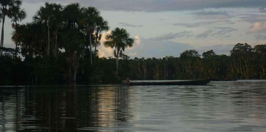 From Tambopata: Amazon Jungle Hike and Lake Sandoval 1-Day - Lake Sandoval by canoe: the “quiet” part where wildlife shows up