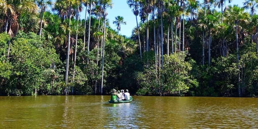 From Tambopata: Amazon Jungle Hike and Lake Sandoval 1-Day - Should you book this tour?