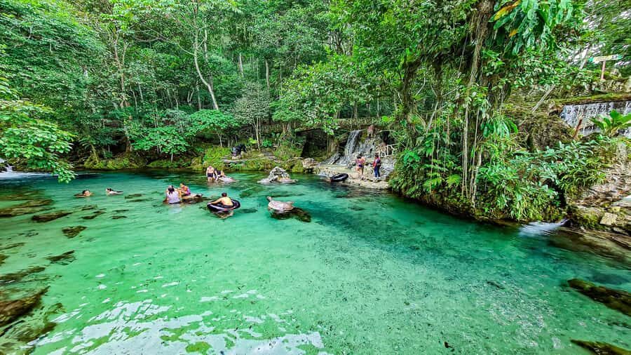 From Tarapoto: Alto Mayo Valley Full Day Tour - What makes this day feel worth 12 hours