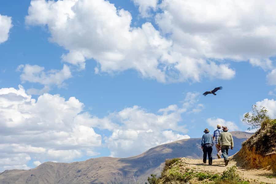 Full-Day Condor Viewpoint & Inca Sites Tour - Quillarumiyoc: Inca ceremonial and astronomy in plain sight