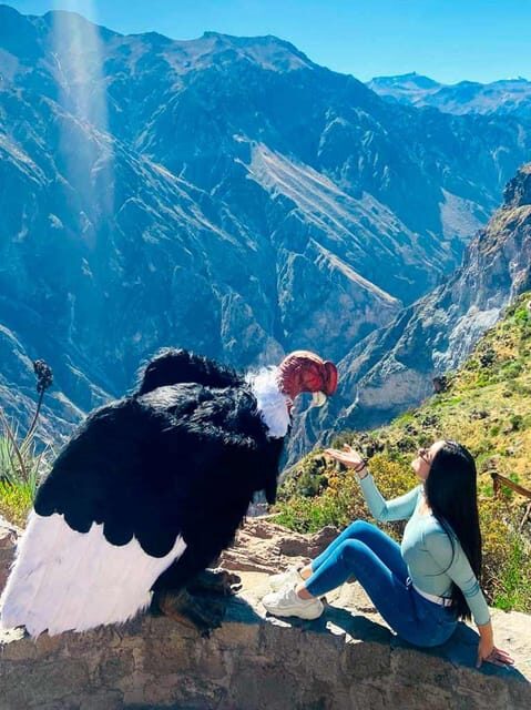 Full day excursion to Colca Canyon - The 4,910 m Volcano Viewpoint: Cold Air, Big Elevation, Short Moments