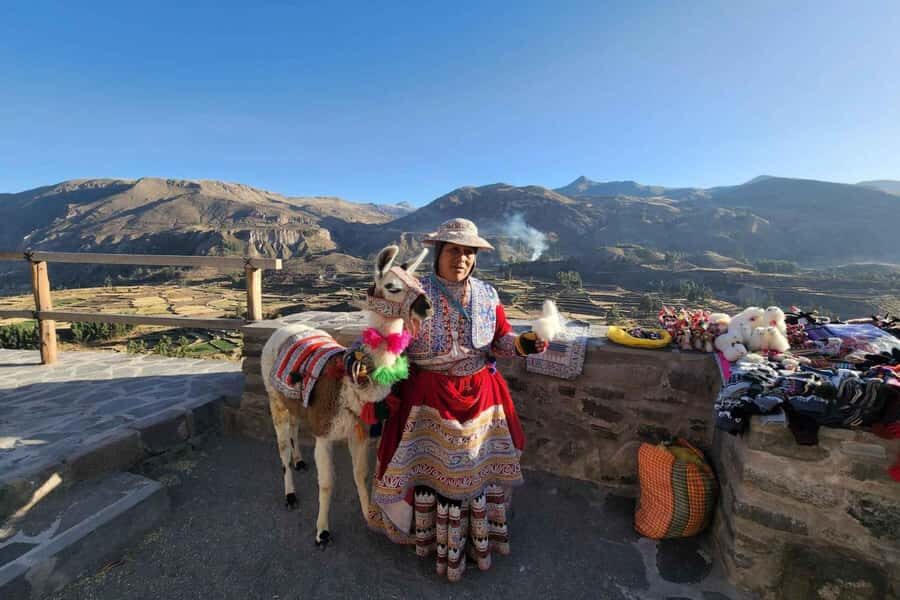 Full day excursion to Colca Canyon - Cruz del Cóndor at 08:30: Why This Viewpoint Is the Main Event