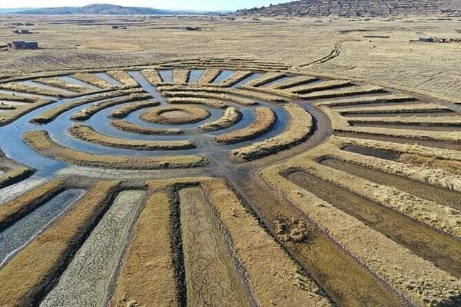 Full Day Guided Tour of the Aymara Route from Puno - Key Highlights You’ll Notice Fast