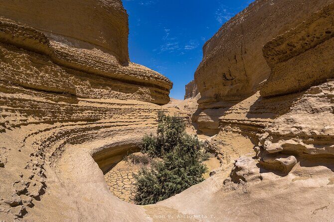 Full Day Tour Canyon of the Lost in Ica Desert - Who should book this Canyon of the Lost tour