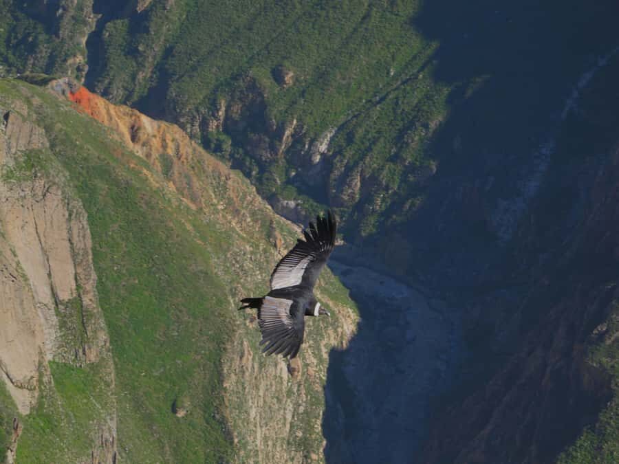 Full Day Trip to Colca Canyon from Arequipa ending in Puno - Yanque and Maca: more than a photo stop